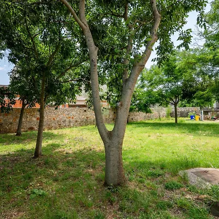 Дом отдыха 1 Bedroom Awesome In Bale